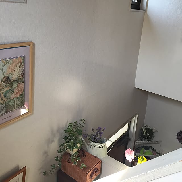 koihiさんの実例写真