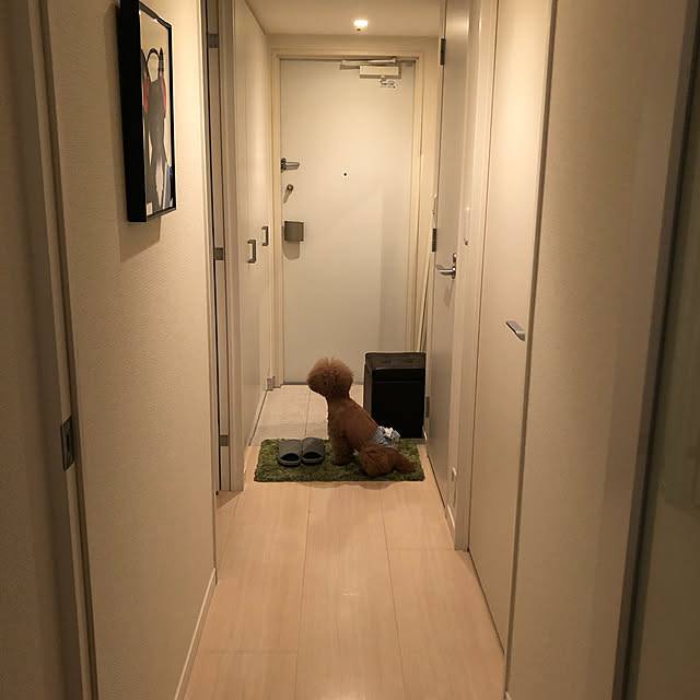 hathiko8さんの実例写真