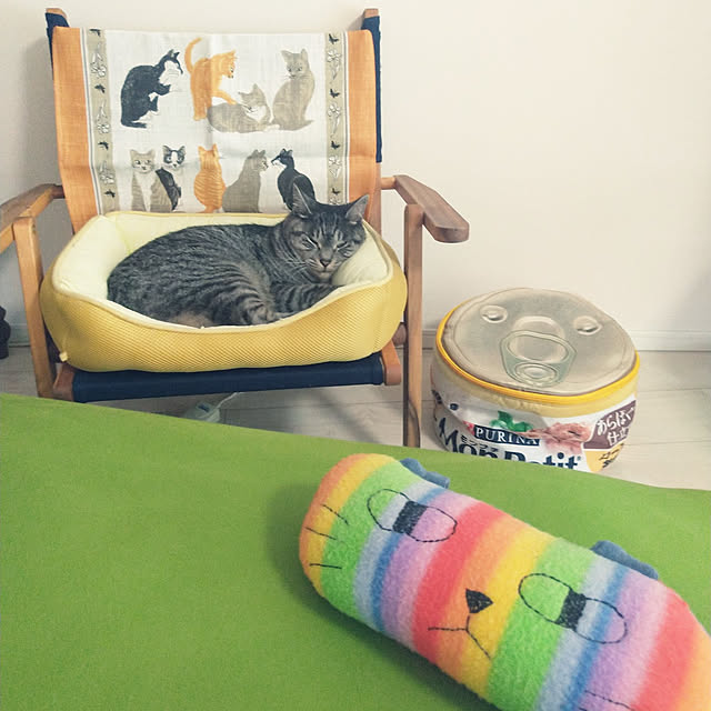 miumiuさんの実例写真
