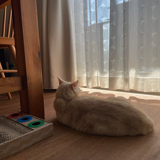 hiyupan88さんの実例写真
