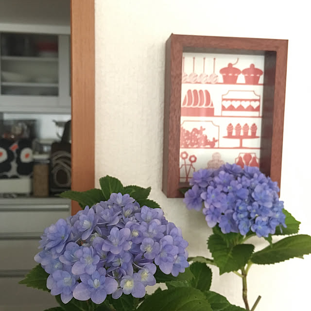 kamachoさんの実例写真