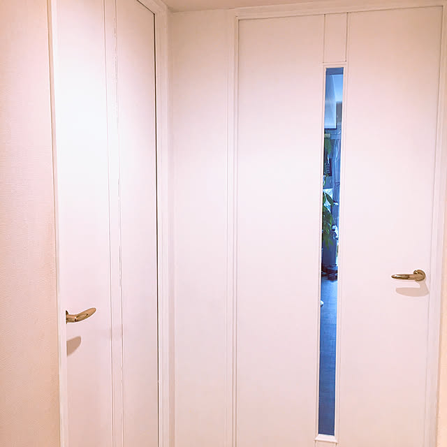 funiさんの実例写真