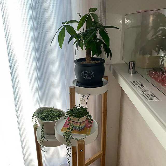 kokkokeiyamaさんの実例写真