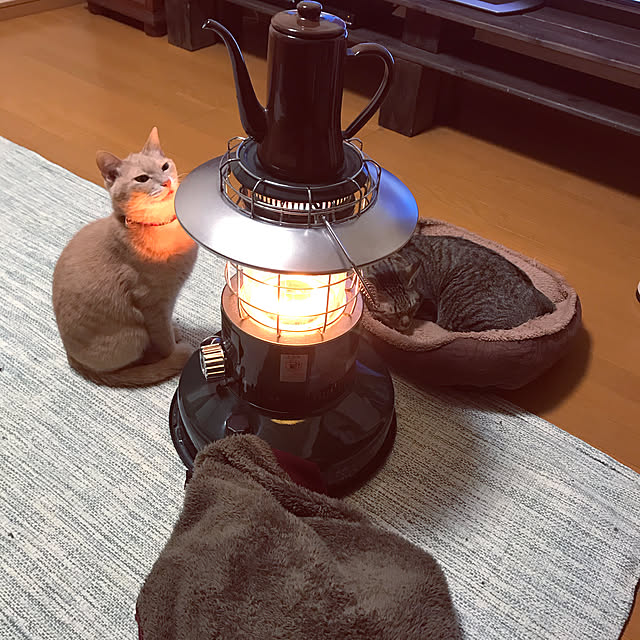 mikan161さんの実例写真