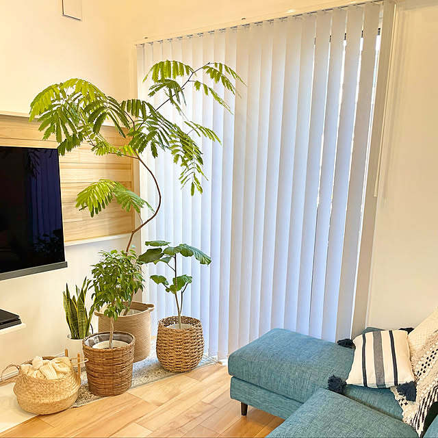 saa.houseさんの実例写真