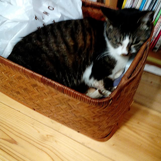 shusen.miyaさんの実例写真