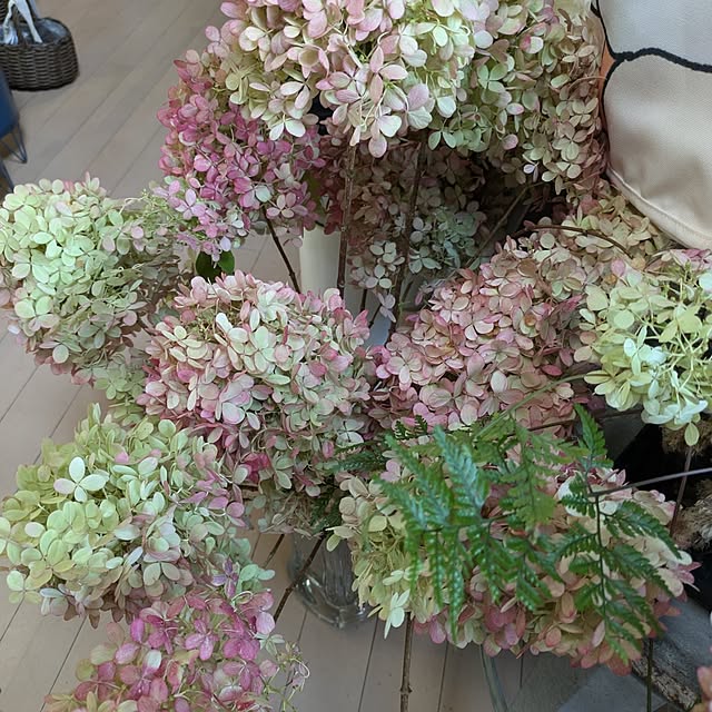 monnさんの部屋