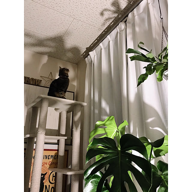 ineko_kさんの実例写真