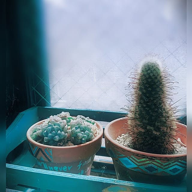 kyooonさんの実例写真