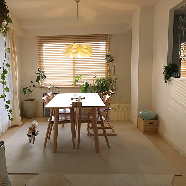 haruhinaさんの実例写真