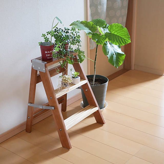 moku2さんの実例写真