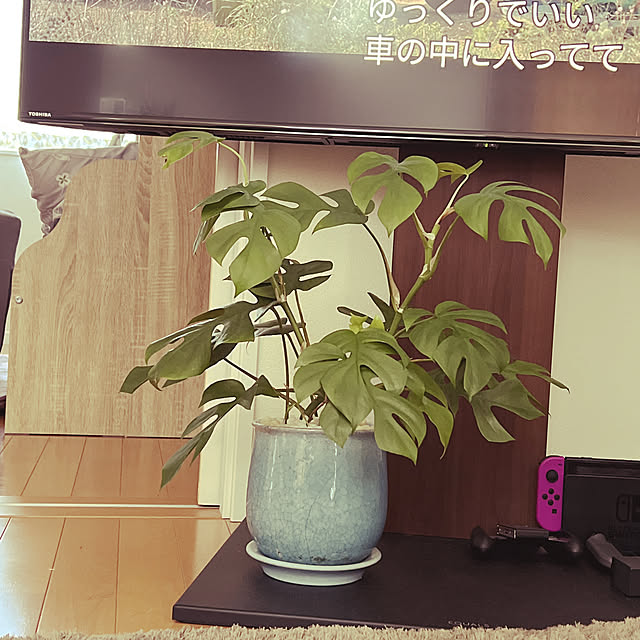 Mikiさんの実例写真