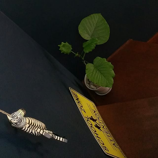 shion825さんの実例写真