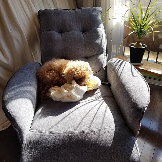 midoriさんの実例写真