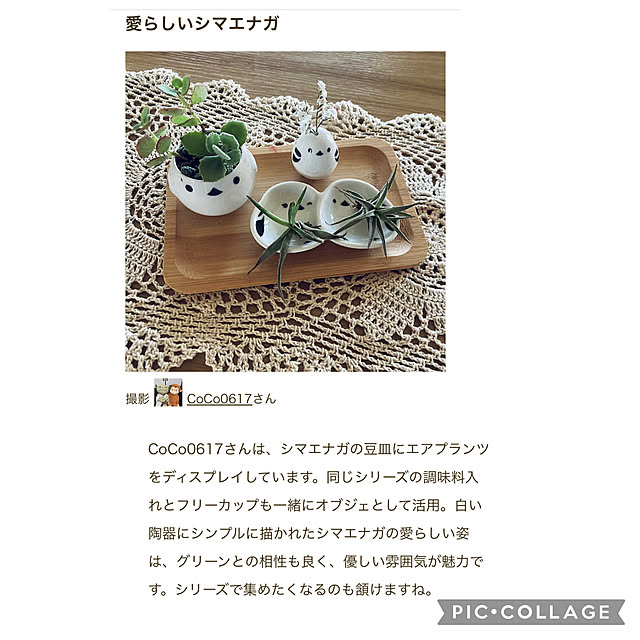 CoCo0617さんの部屋