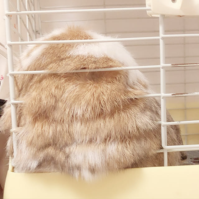 Ruiさんの実例写真