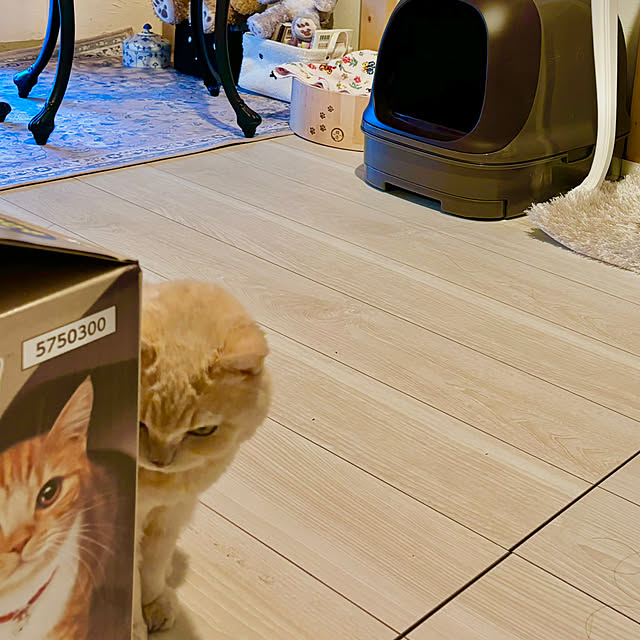 naokoさんの部屋