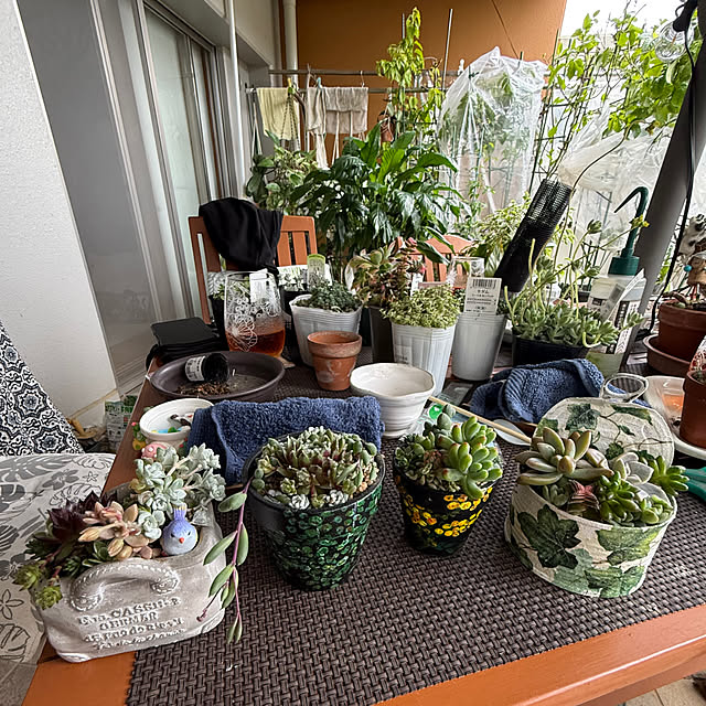 Aqettyさんの部屋