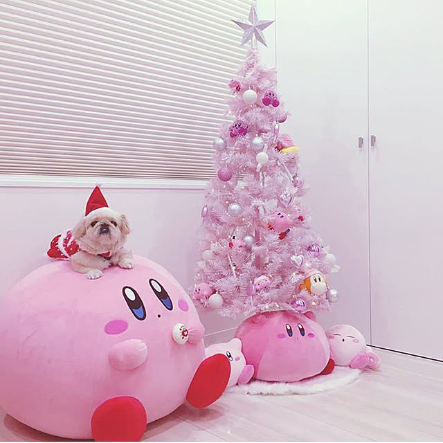 apさんの実例写真