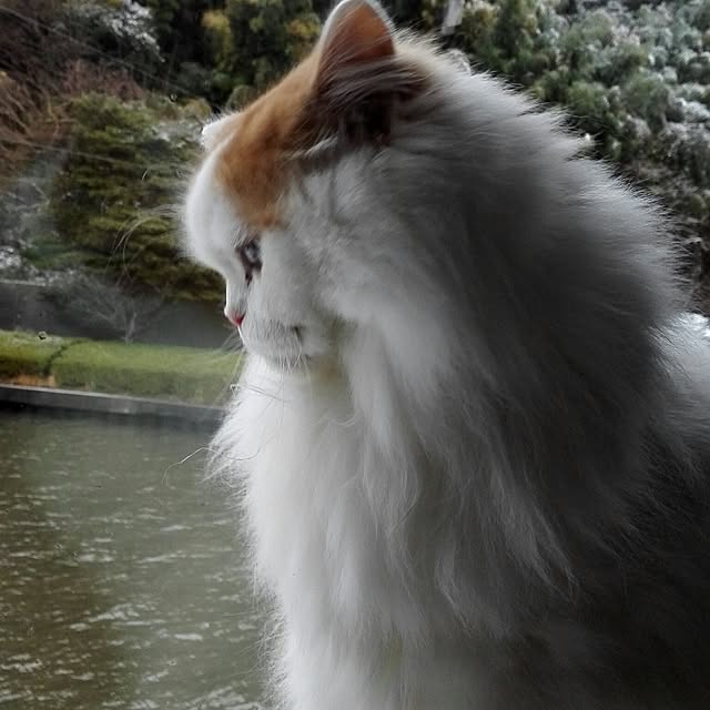1ldksさんの実例写真