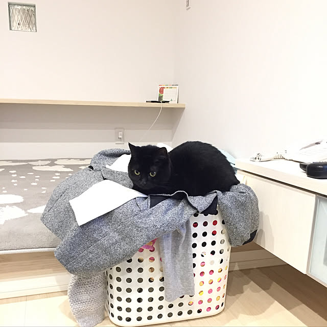 OmamekOさんの実例写真