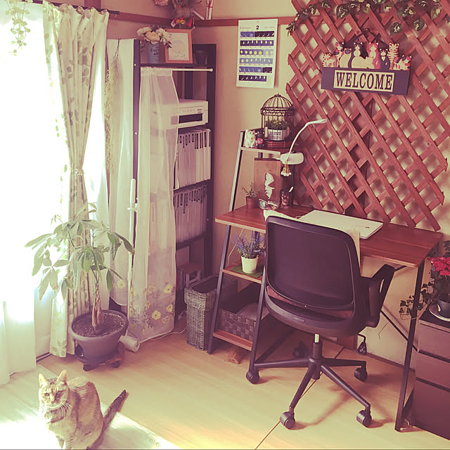 tomokoさんの実例写真