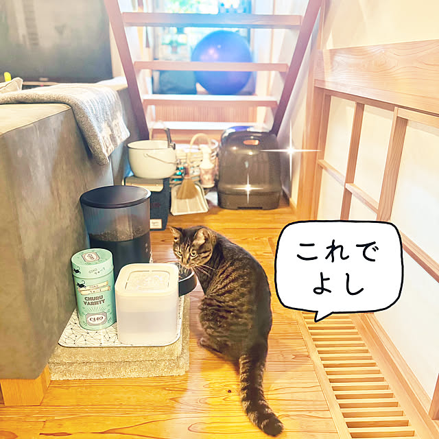 onsix777さんの実例写真