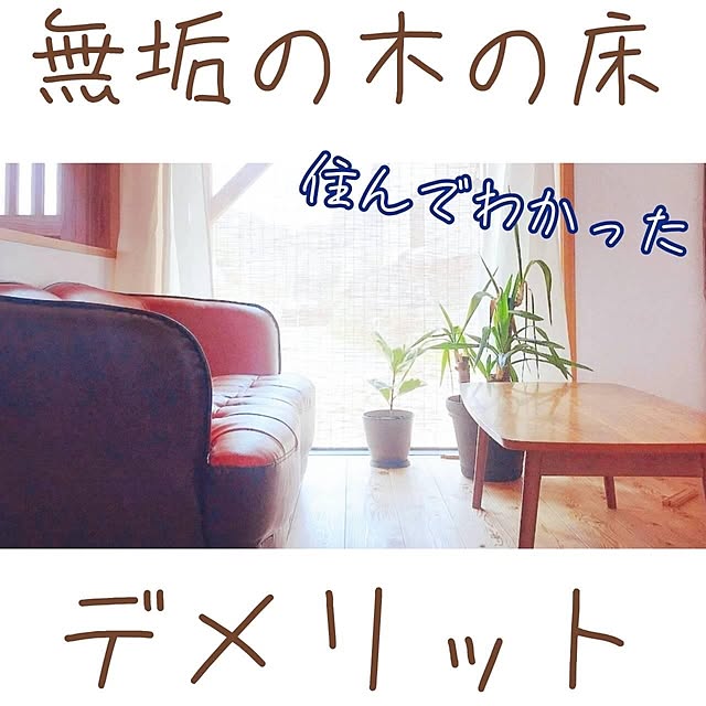 saChiさんの実例写真
