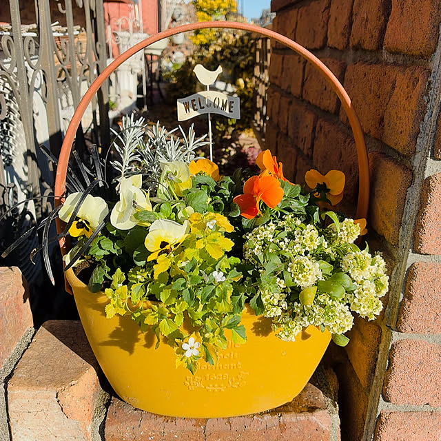 mukkuさんの実例写真