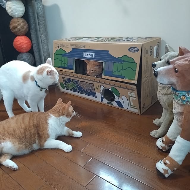 NOAHさんの部屋