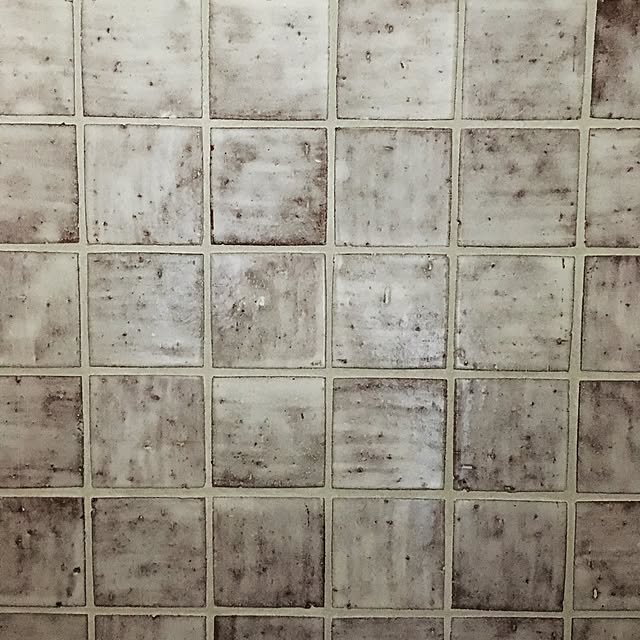 discocanonさんの実例写真
