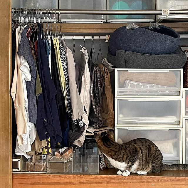 nobikoさんの部屋