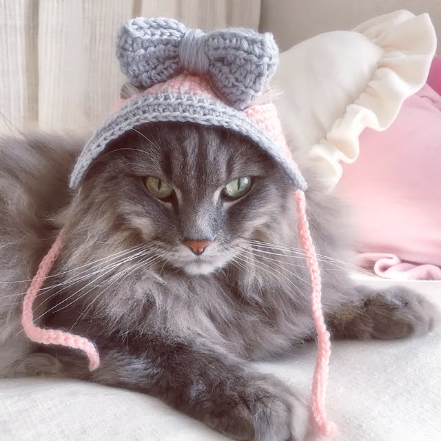 may10さんの実例写真