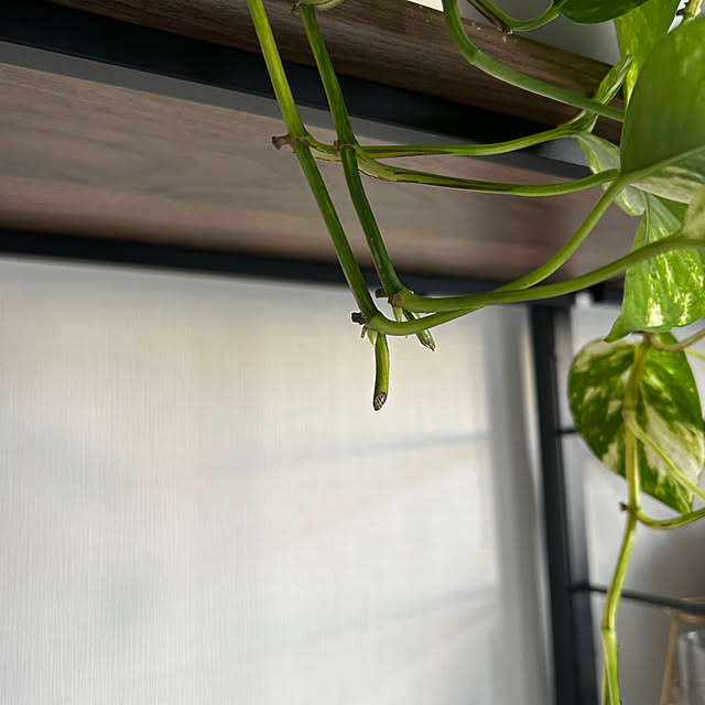 kananaさんの部屋