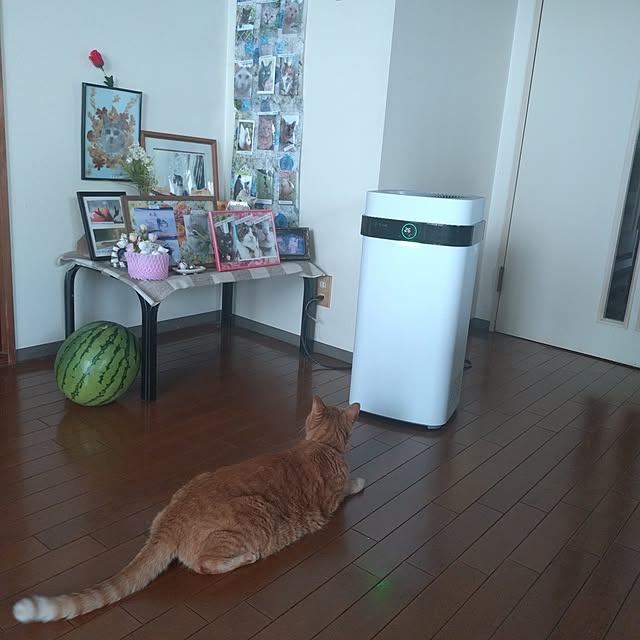 NOAHさんの実例写真