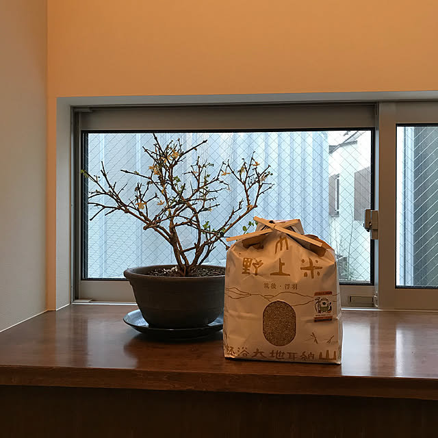iduminさんの実例写真