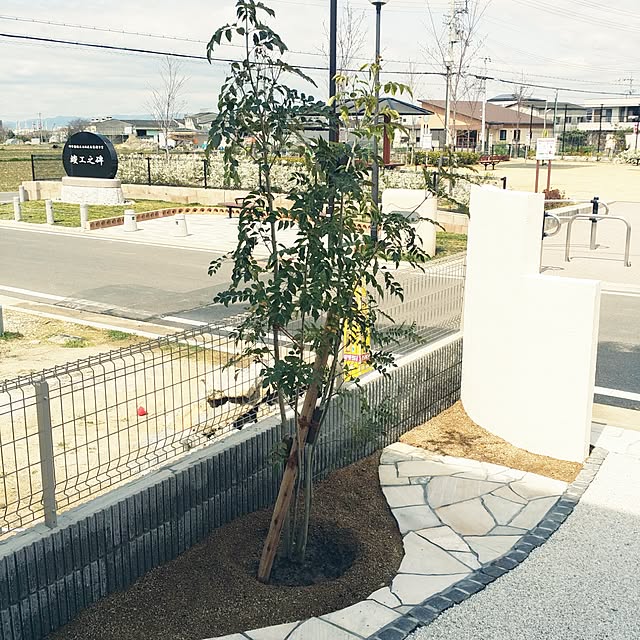 riccoさんの実例写真
