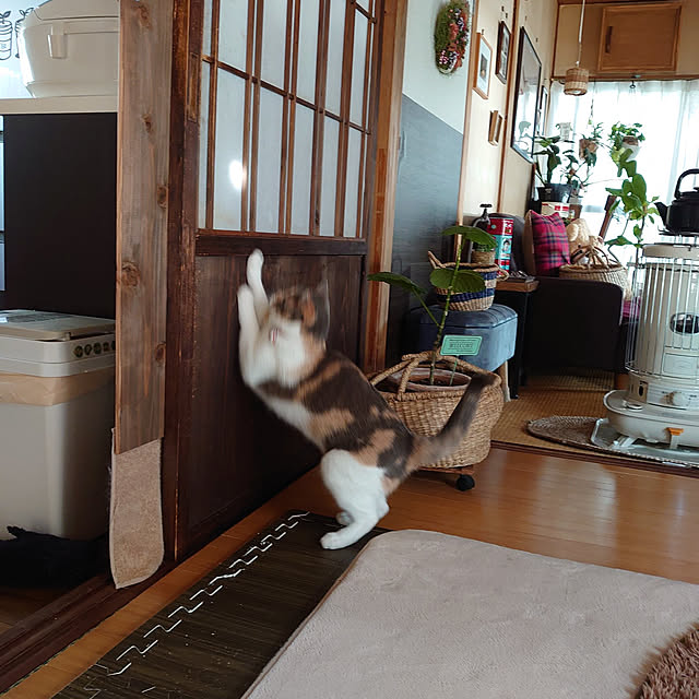 fukuさんの実例写真