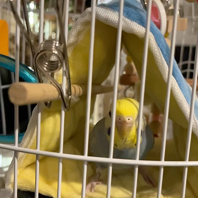 Atsukoさんの部屋