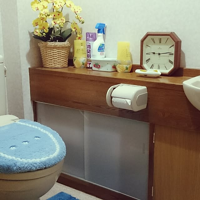 Mizubasyoさんの実例写真