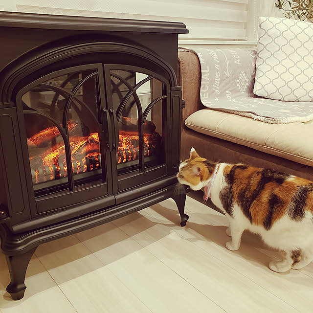 megu.catさんの実例写真