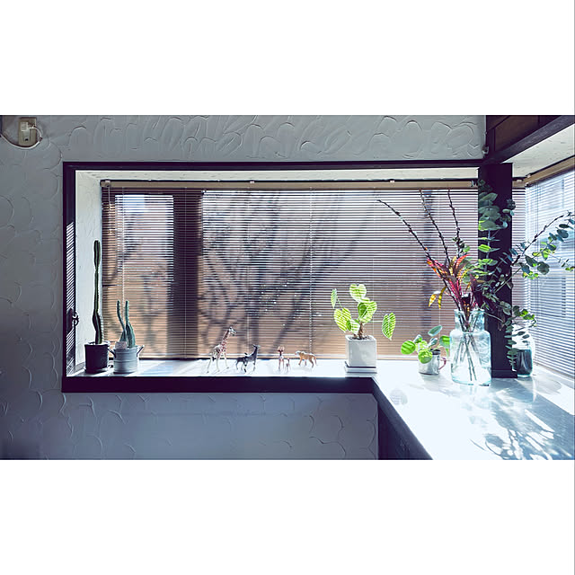 kao.320さんの実例写真