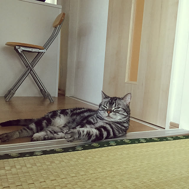 richanさんの実例写真