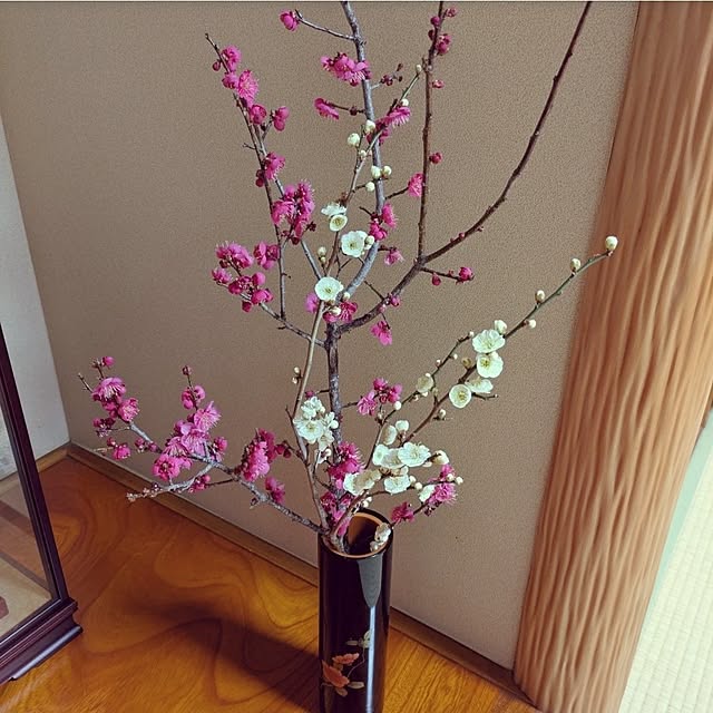 ku-garnet18さんの部屋