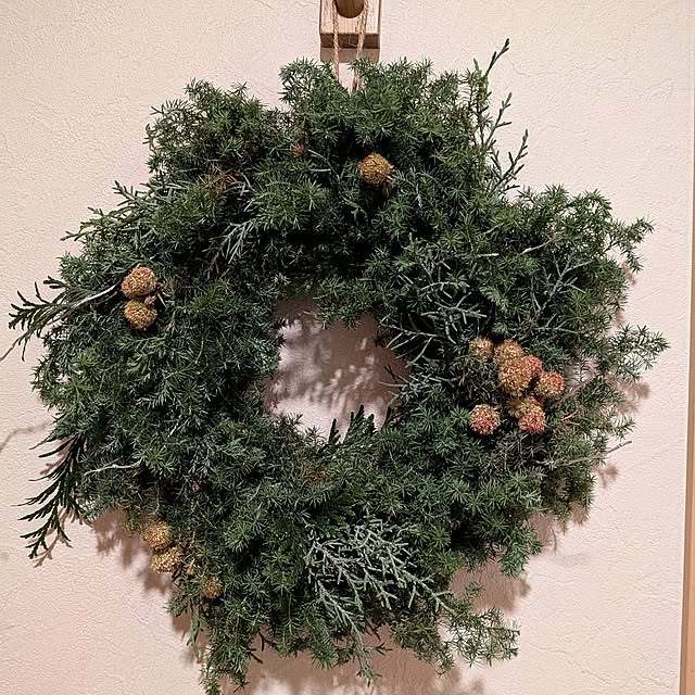 umebo8さんの実例写真