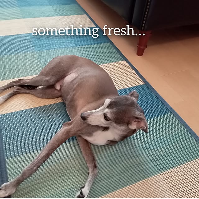 moruさんの部屋