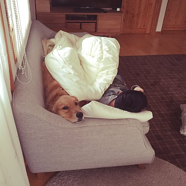bigsunny0103さんの実例写真