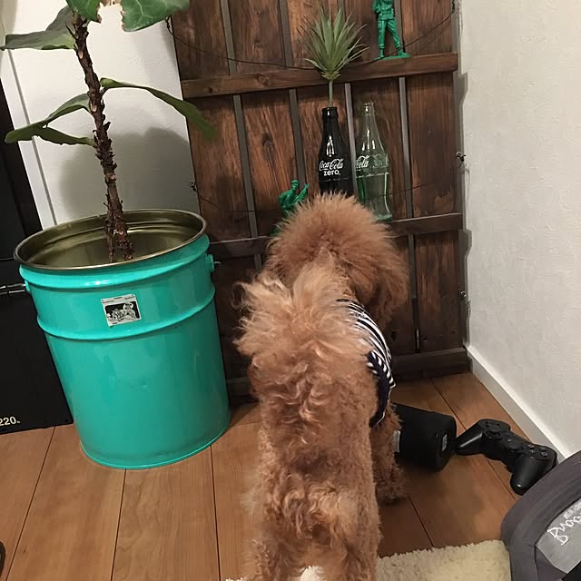 manaさんの実例写真