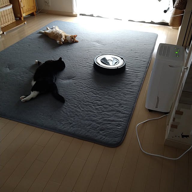 koromaroさんの実例写真