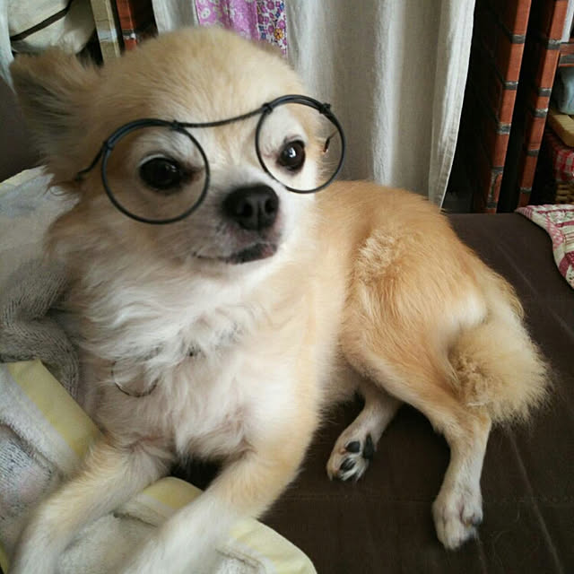 sasukeさんの実例写真